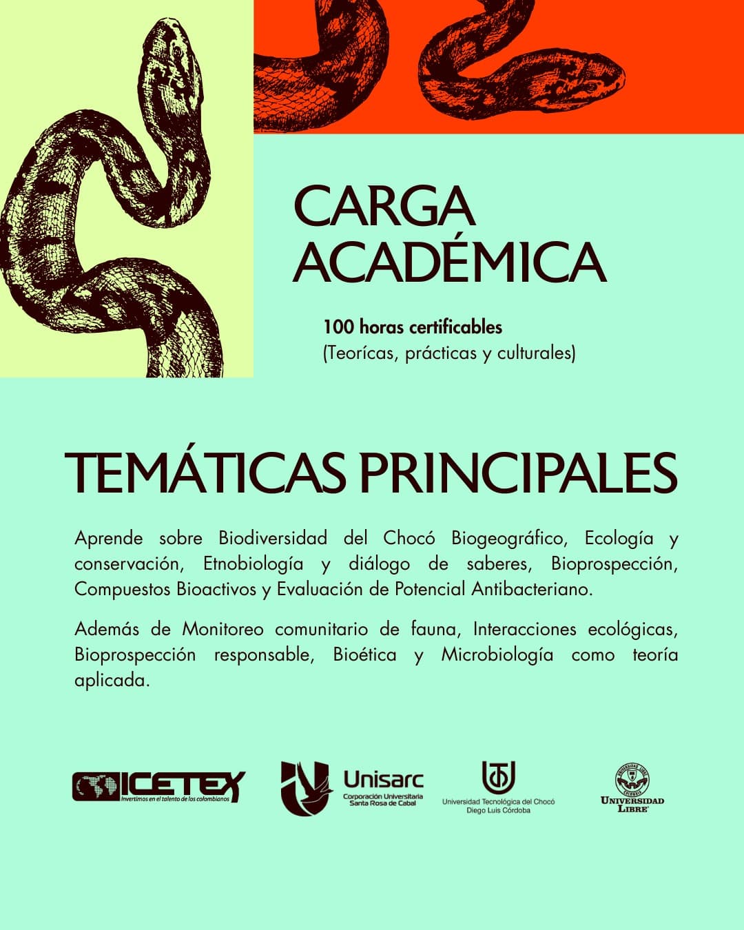 Carga académica